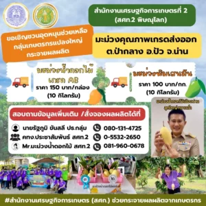 ขอเชิญชวนอุดหนุนกลุ่มเกษตรกรมะม่วงแปลงใหญ่ จ.น่าน