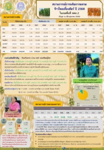 สถานการณ์ข้าวโพดเลี้ยงสัตว์ ปี 68 (ต.ค. 68)