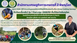 สศท.2 Kick Off สำรวจข้อมูลผลผลิตต่อไร่โดยวิธีตั้งแปลงเก็บเกี่ยว (Crop Cutting Survey) ข้าวโพดเลี้ยงสัตว์ รุ่น 1 ปีเพาะปลูก 2568/69 พื้นที่จังหวัดพิษณุโลก