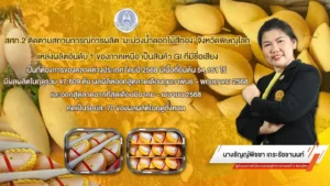 สศท.2 ติดตามสถานการณ์การผลิต มะม่วงน้ำดอกไม้สีทอง จังหวัดพิษณุโลก