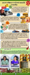 แนวทางพัฒนาการจำหน่ายผลไม้ภาคเหนือ