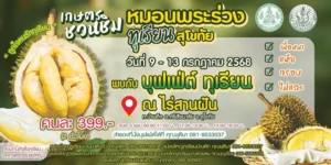 เกษตรชวนชิม ทุเรียน หมอนพระร่วง สุโขทัย 9-13 ก.ค.