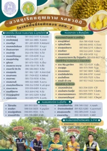 สวนทุเรียนคุณภาพ รสชาติดี
