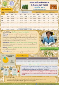 สถานการณ์การผลิตข้าวโพดเลี้ยงสัตว์ ปี 2568 ในพื้นที่ สศท.2