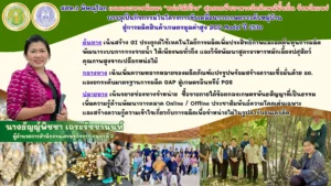 สศท.2 แนะแนวทางพัฒนา “หน่อไม้เป๊าะ” จ.แพร่