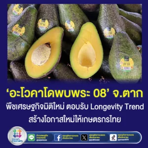 ‘อะโวคาโดพบพระ 08’ จ.ตาก พืชเศรษฐกิจมิติใหม่ ตอบรับ Longevity Trend สร้างโอกาสใหม่ให้เกษตรกรไทย